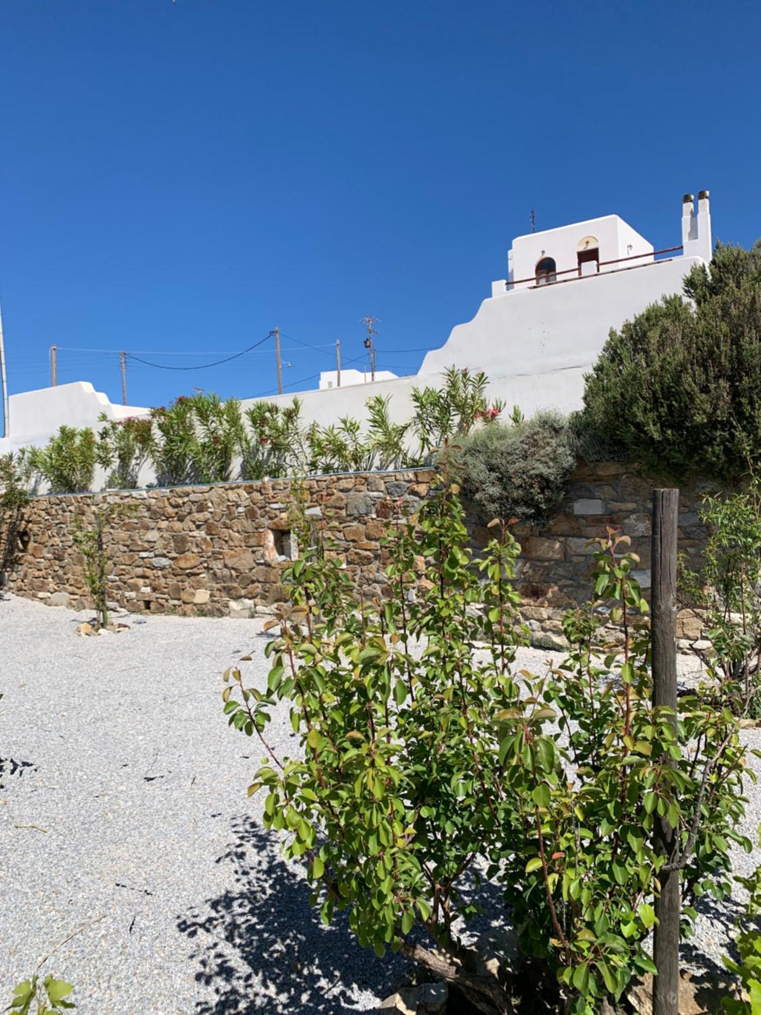 Villa Of Roses In Naxos - Private Villa With Pool Naxos City Eksteriør billede